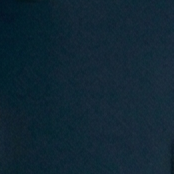 blue swatch
