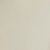 white swatch